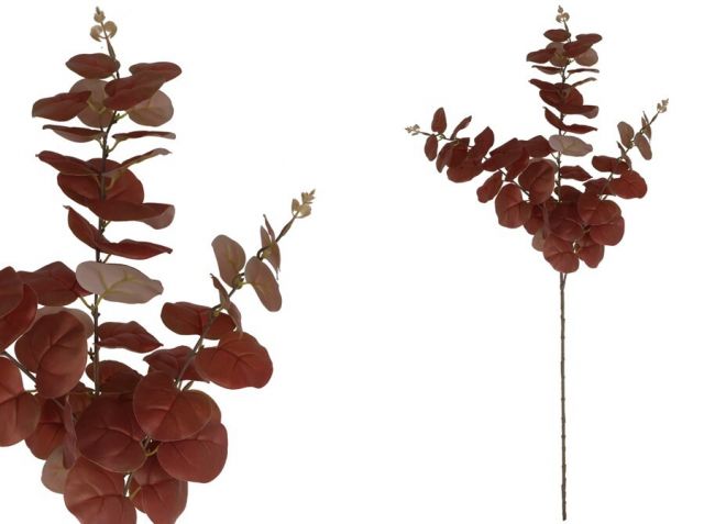 VARA  EUCALIPTO TOUCH*BURDEOS 34377