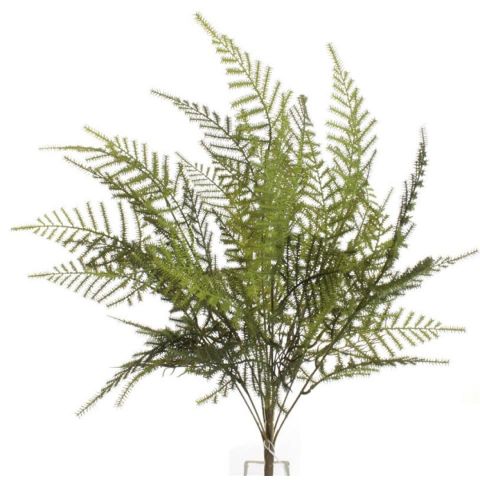 RAMO ESPARRAGUERA 7780