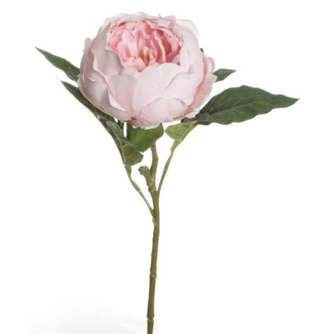 VARA PEONÍA TACTO NATURAL *ROSA 7643