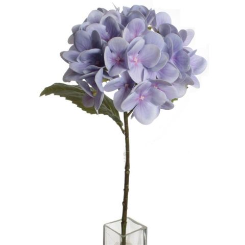 VARA HORTENSIA *LILA 5666