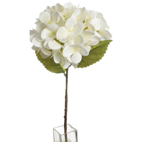 VARA HORTENSIA TACTO NATURAL *CREMA 5666