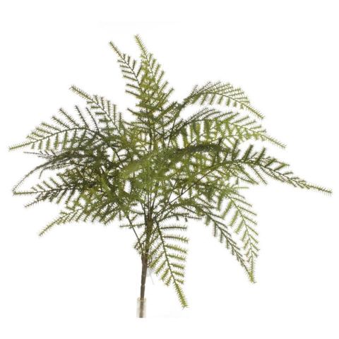 RAMO ESPARRAGUERA *VERDE 7781