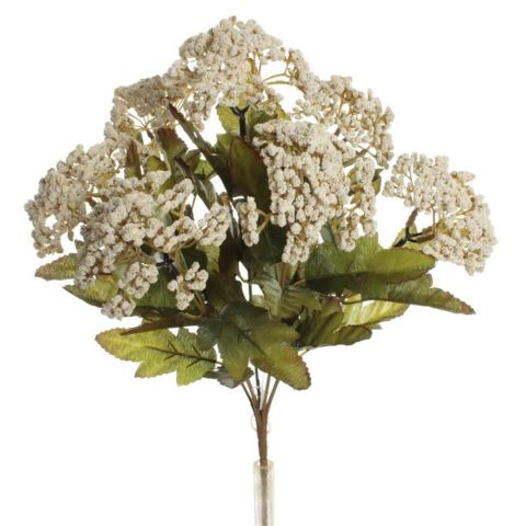 RAMO ACHILEA BLANCO 7788