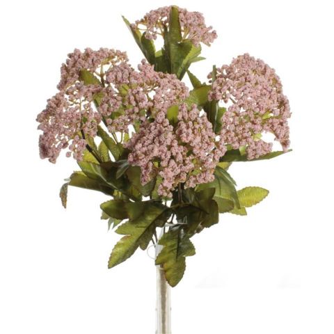 RAMO ACHILEA *ROSA 7788