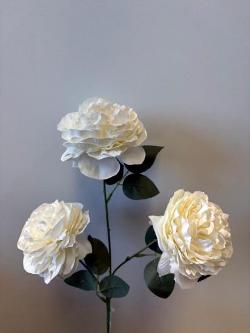 VARAPEONIA X4 BLANCO7804