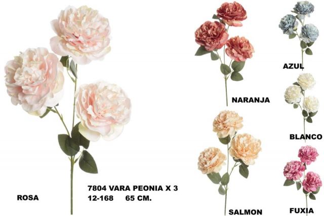 VARAPEONIA X4 BLANCO7804