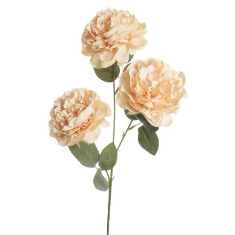 VARAPEONIA X4 *SALMON 7804