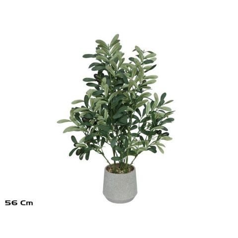 MACETA OLIVO 56CM *395296