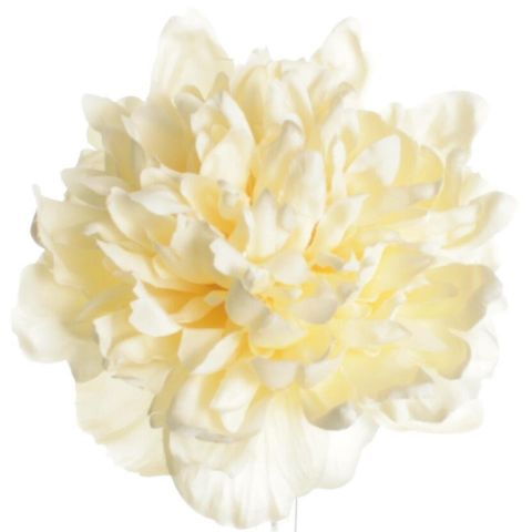 FLOR FLAMENCA PEONIA P 7810 C-2 BEIGE