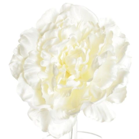 FLOR FLAMENCA PEONIA G 7808 C-1