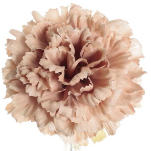 FLOR FLAMENCA CLAVEL PQ 7816 NUDE C-3