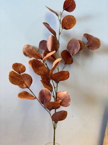 VARA EUCALIPTO *OCRE 22011