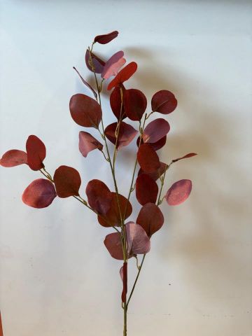 VARA EUCALIPTO *ROJO 22028