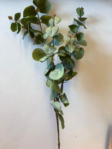 VARA EUCALIPTO *VERDE CLARO 34391