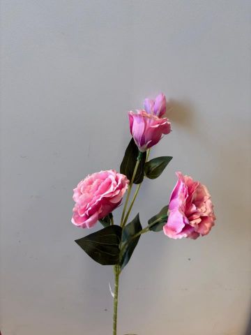 VARA LISIANTHUS *ROSA 631115