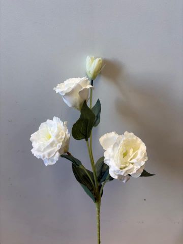 VARA LISIANTHUS *BLANCO 631115