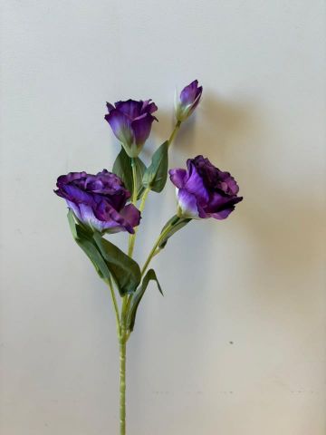 VARA LISIANTHUS *MORADO 631115