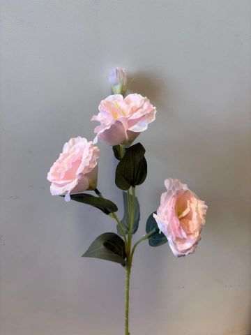 VARA LISIANTHUS *ROSA CLARO 631115
