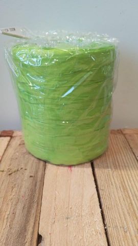 RAFFIA SINTETICA 200MT *VERDE 801003