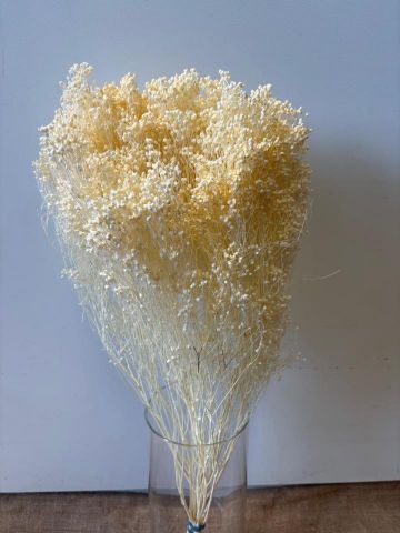 BROOMS,POMO 200GR 000-006.00*BLANCO