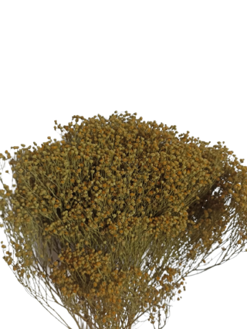 BROOMS 50 CMS 000.006.04*NATURAL