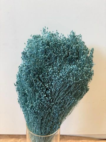 BROOMS *AZUL EMPOLVADO 000.006.74