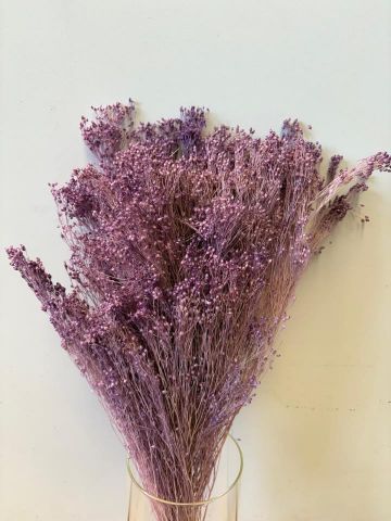 BROOMS 50 CMS*LILA  000-006.80