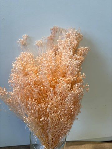 BROOMS PRESS 50 CMS ROSA BEBE 000.006P40