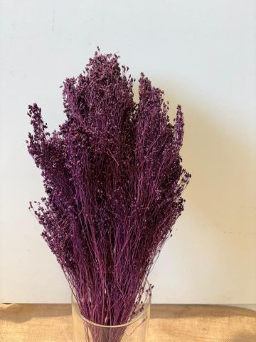 BROOMS PRESS *MORADO *000-006.85