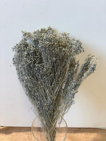 BROOMS 000.006.72 AZUL GRISACEO