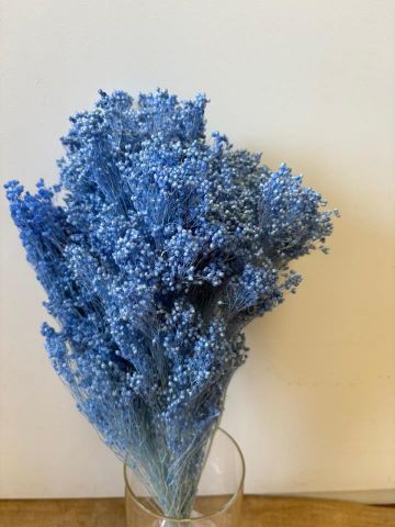 BROOMS PRESS AZUL CLARO *000-006.78