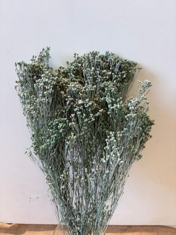 BROOMS PRESS *VERDE AGUA 000-006M60