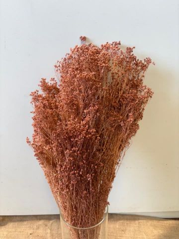 BROOMS PRES *ROSA MAQUILLAJE *000-006.46