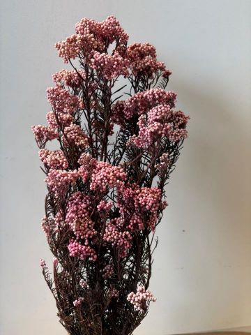 FLOR ARROZ *ROSA CLARO 000-809.45