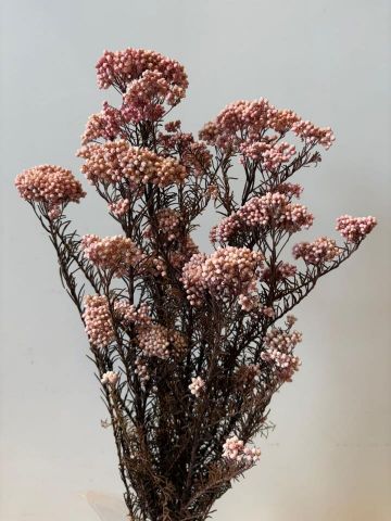 FLOR ARROZ *ROSITA 000-809.40