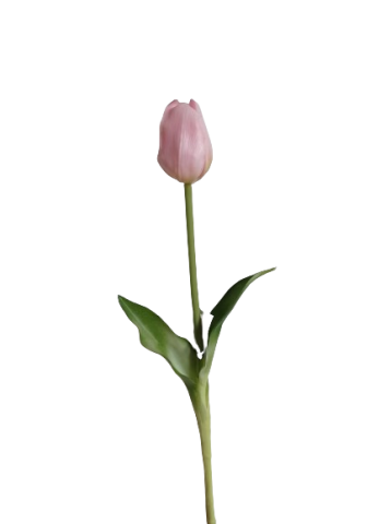 VARA TULIPAN TACTO NATURAL *ROSA 7230