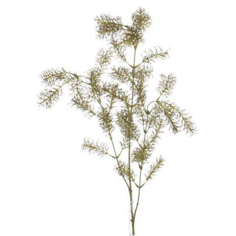 VARA  SILVESTRE *VERDE 7877