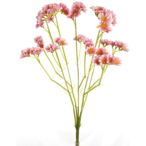 RAMO STATIS *ROSA 7792