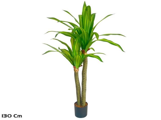 PLANTA DRACENA 130CMS  X2 91526