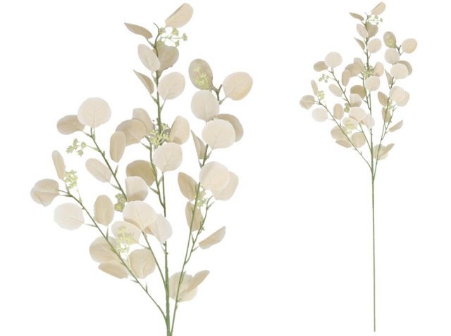 VARA EUCALIPTO *BEIGE 105CMS 21953