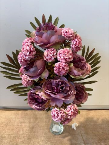 RAMOE ENCARADO PEONIA MUN *LILA 7853