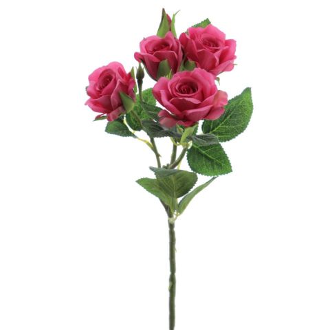 ROSITAS X 5 FUCSIA 2503-07