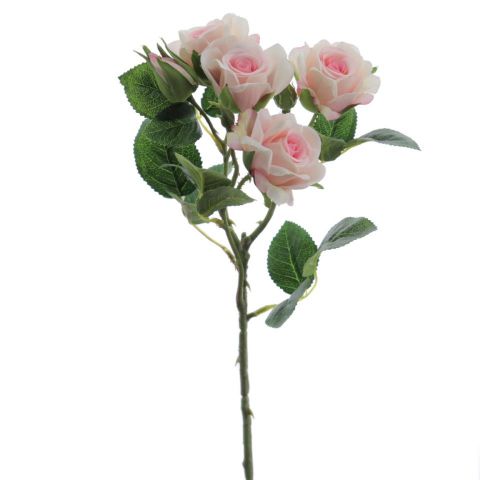 ROSITAS X5 ROSA 2503-12