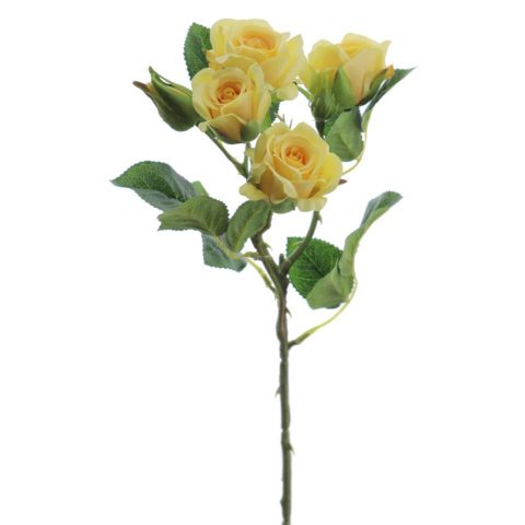 ROSITAS X5 AMARILLO 2503-02