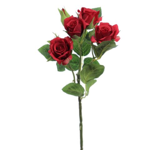 ROSITAS X5 ROJO 2503-08