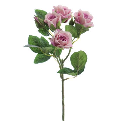 ROSITAS X5 MALVA 2503-06