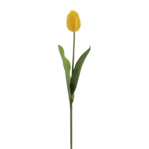 TULIPAN REACH TOUCH AMARILLO 6942-02
