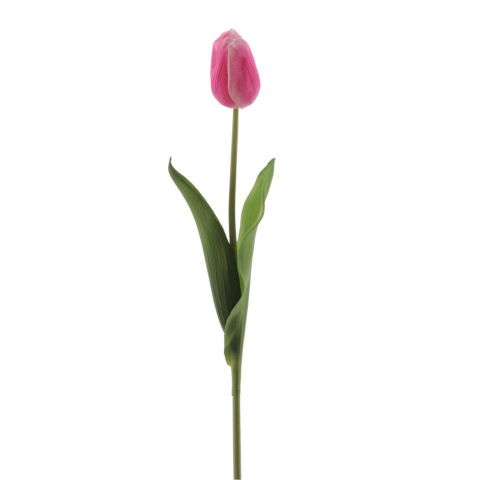 TULIPAN REACH TOUCH FUCSIA 6942-07