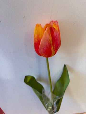 TULIPAN REACH TOUCH NARANJA 6942-15