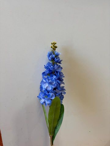 DELPHINIUM AZUL 6277-10 